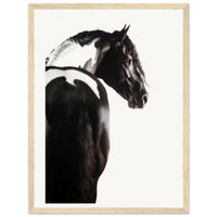 00594b99-9c20-4519-82ee-ab4629f39b45