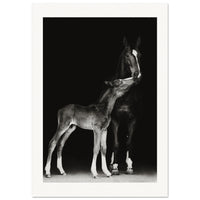 006ca905-5bce-4ef7-bb09-17b9e0bb40cc