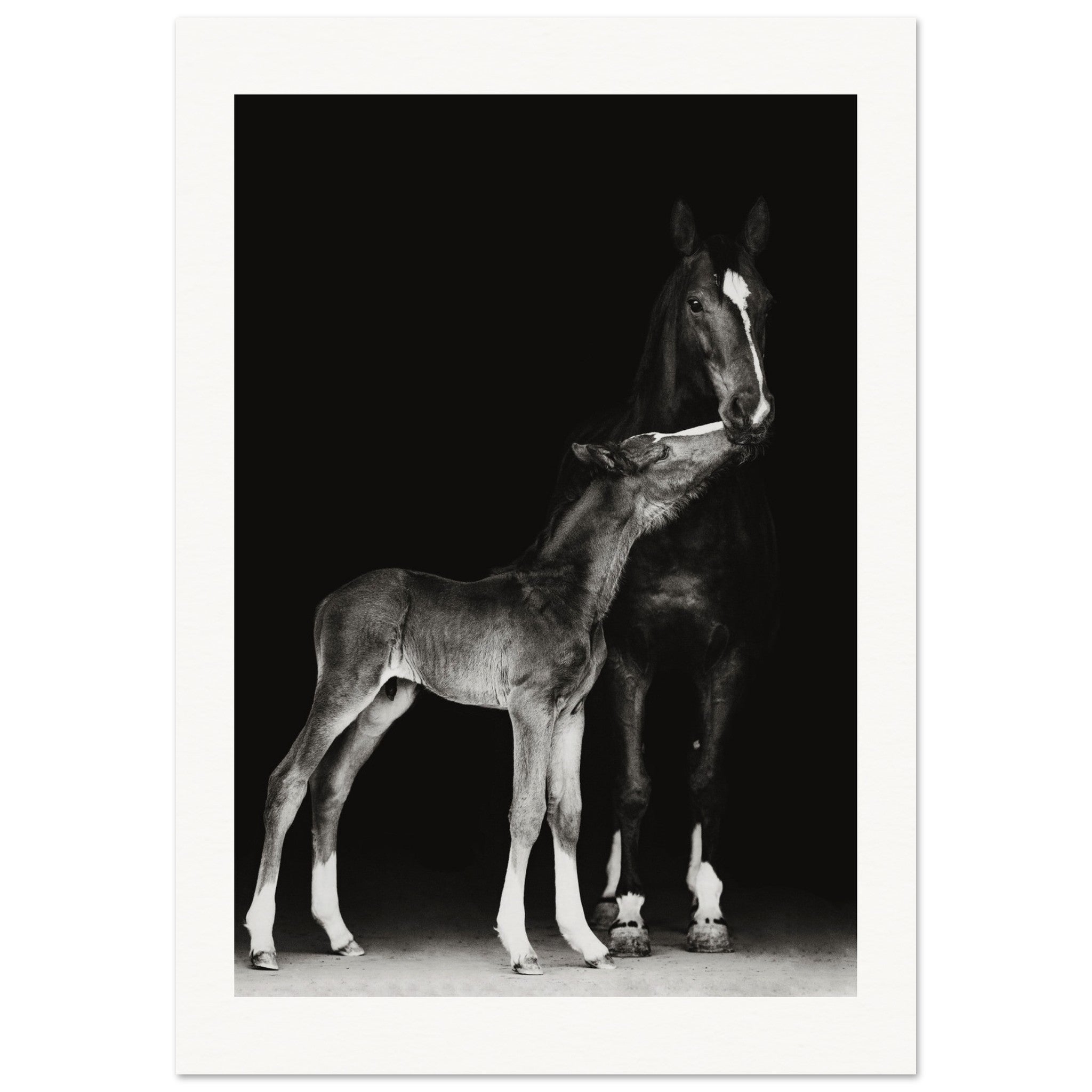 006ca905-5bce-4ef7-bb09-17b9e0bb40cc