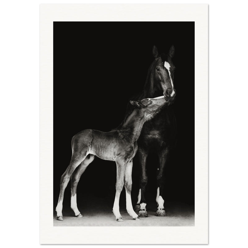 006ca905-5bce-4ef7-bb09-17b9e0bb40cc