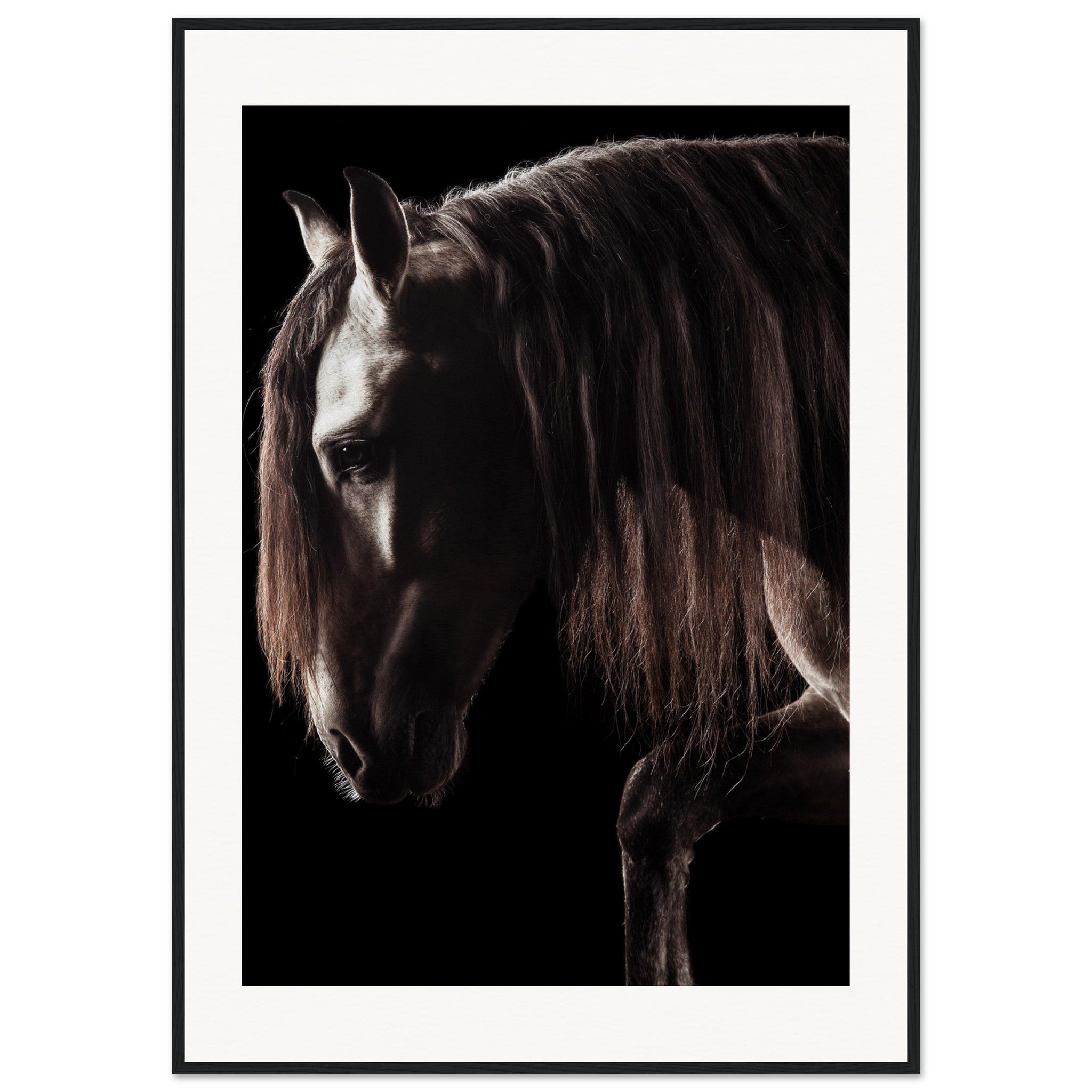 00b3549d-74c2-4c1e-937f-085f28361a59