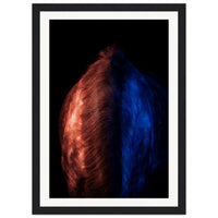 00b8946b-ff00-4455-9546-fa07aeac229d