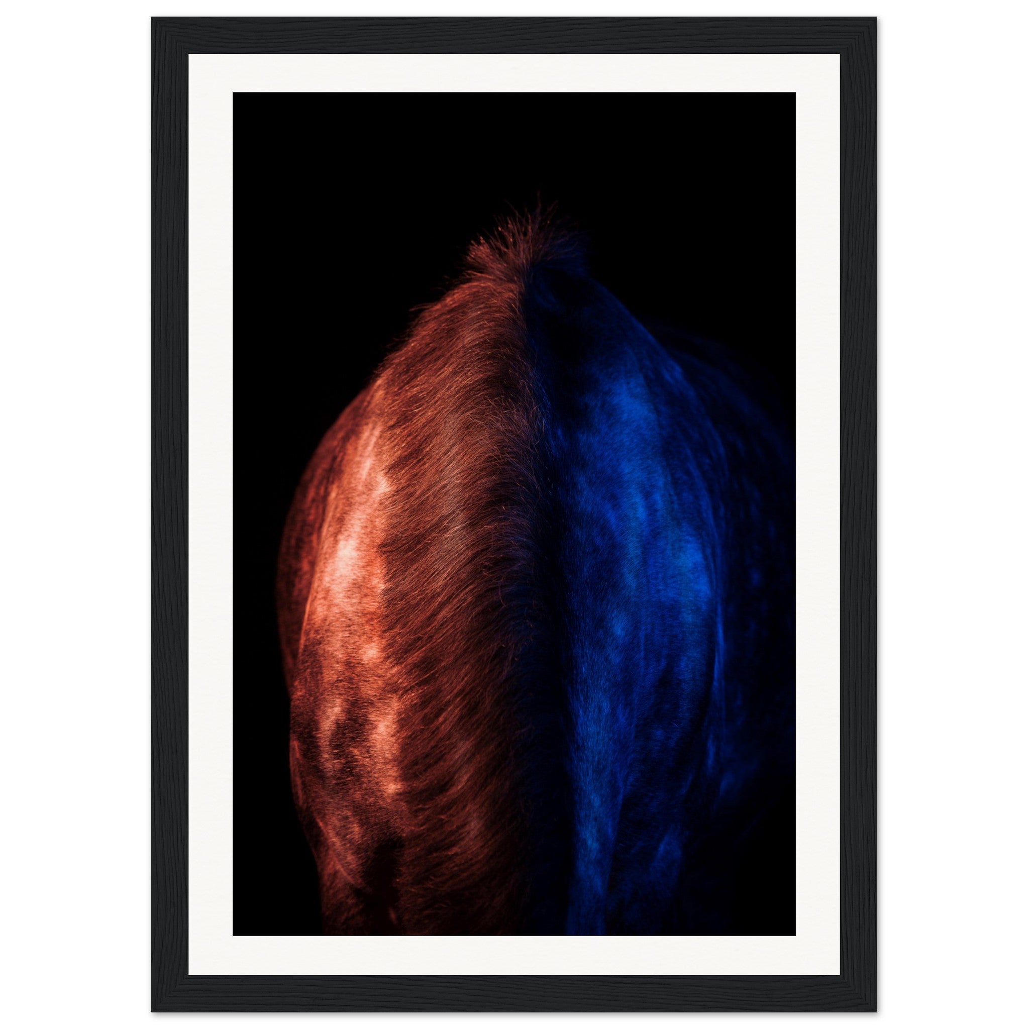 00b8946b-ff00-4455-9546-fa07aeac229d