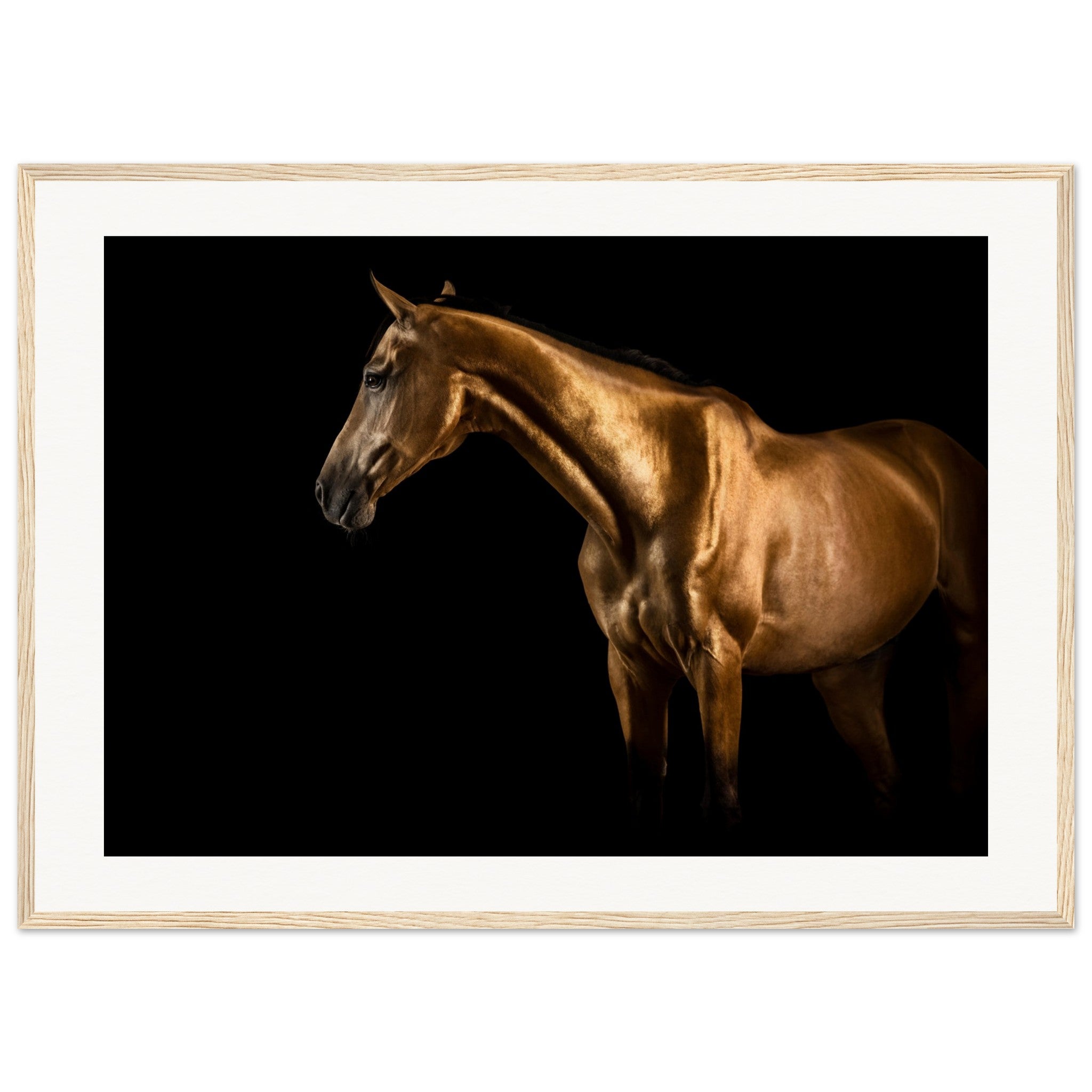 00c7172f-9519-4769-8dbe-3b6f8aeb3ce2