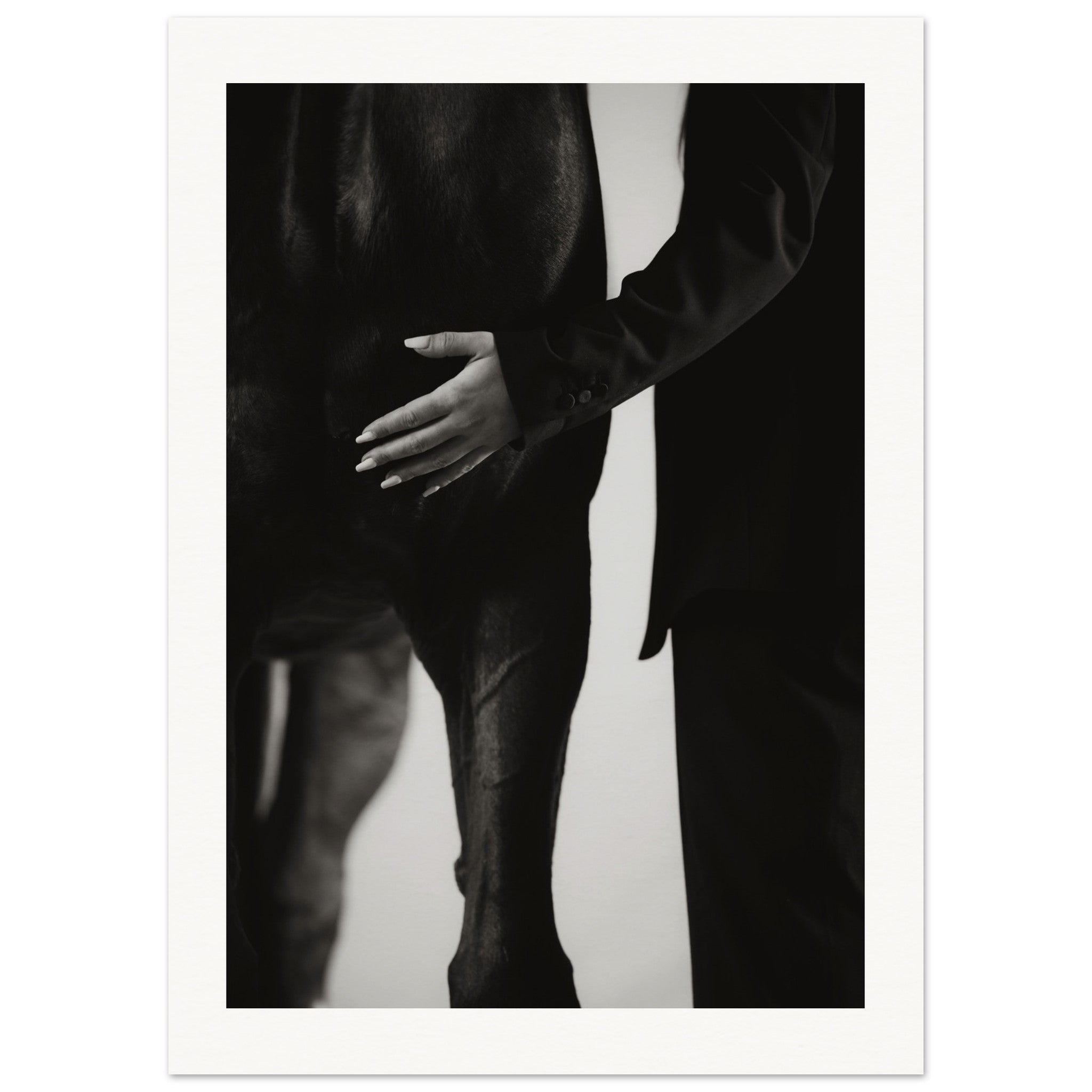 00cf0578-1418-4521-aff8-7c4701465812