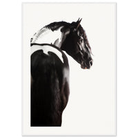 00e81bec-ced4-4b56-9381-84f2471317ba