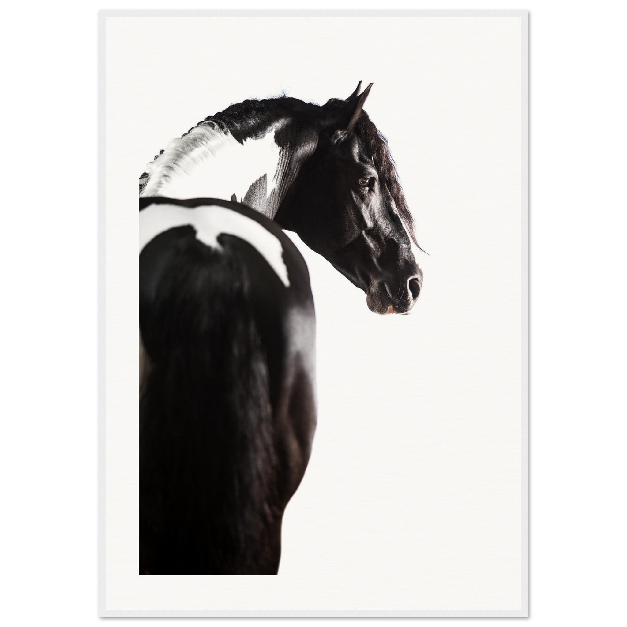 00e81bec-ced4-4b56-9381-84f2471317ba