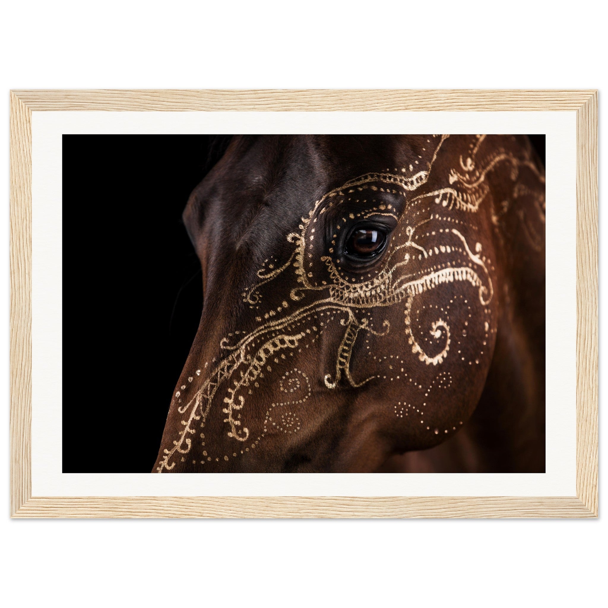 0158f1b5-fc47-49e8-99ad-ede5ea688da8