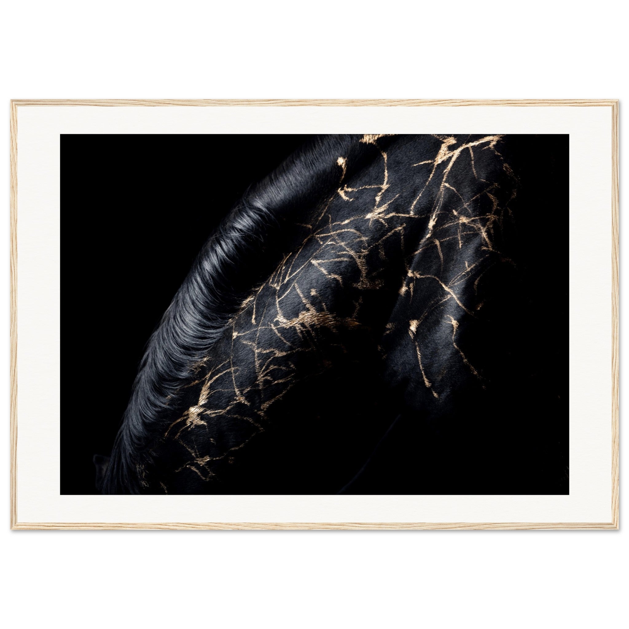 016d01c5-7321-4266-827f-70180d1ed798