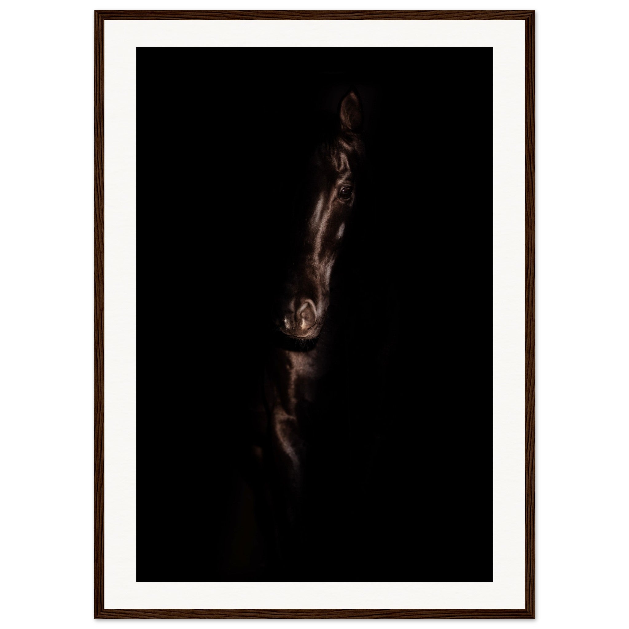 01fdff61-69a3-4bf6-a4e8-378484a46bf4