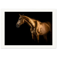 0204309f-087e-4aee-a6a2-cb4af09a8a13