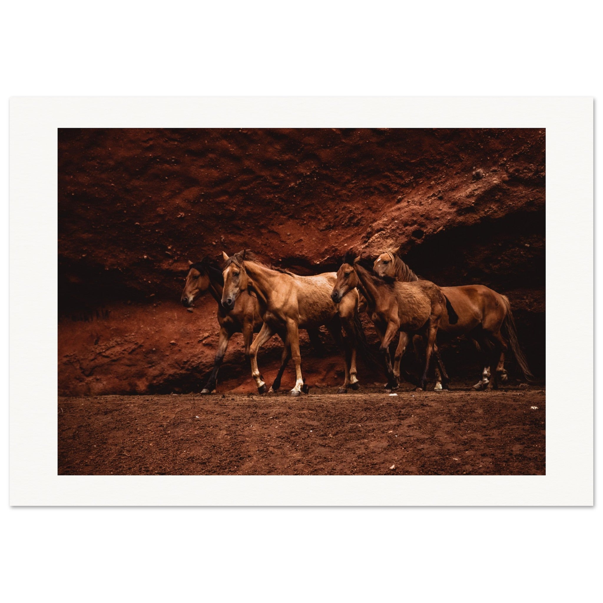 02459f91-0f1d-4254-8799-6e3738fe6b8b