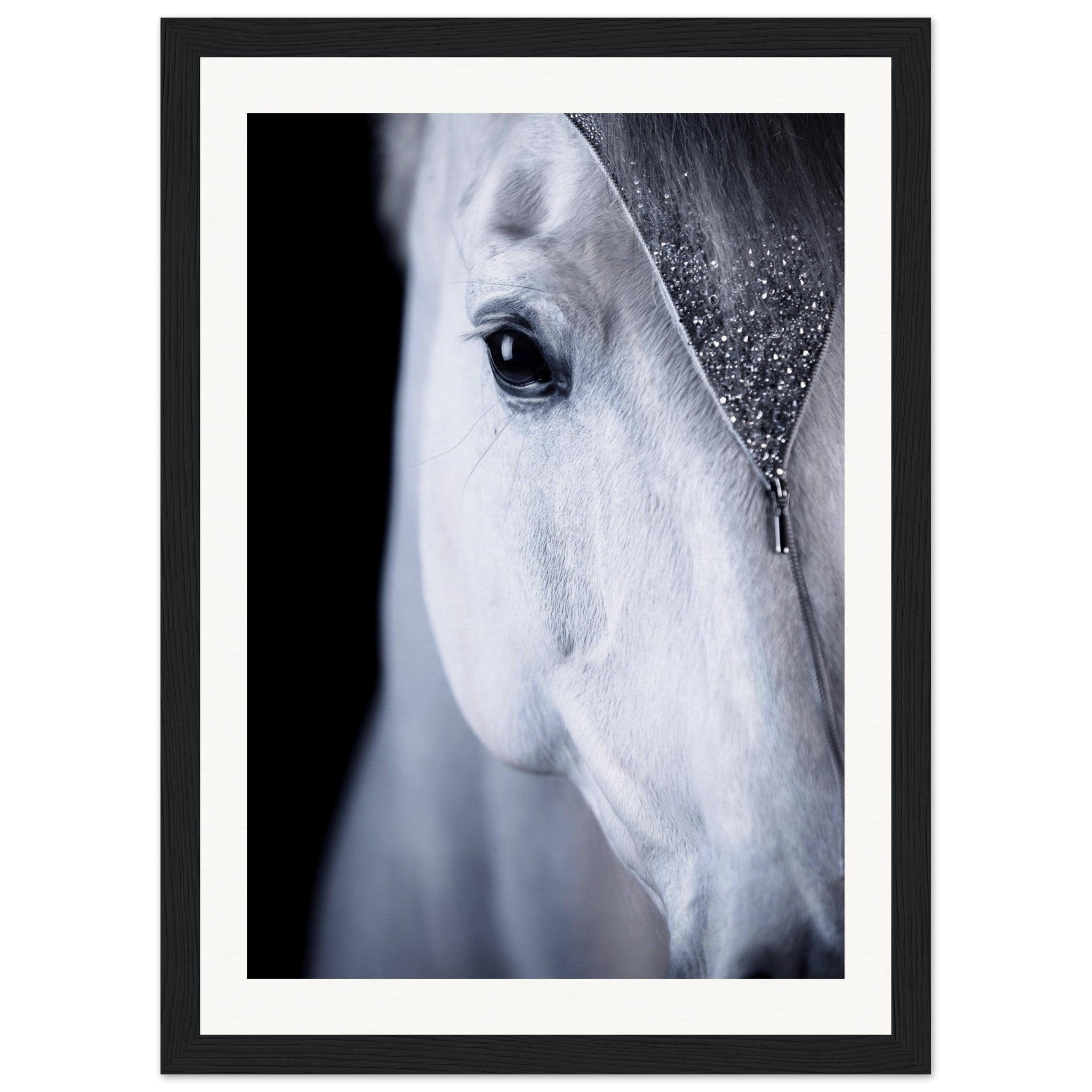 0262d3bb-bbbf-411a-8fed-3ffca2b4fa3f