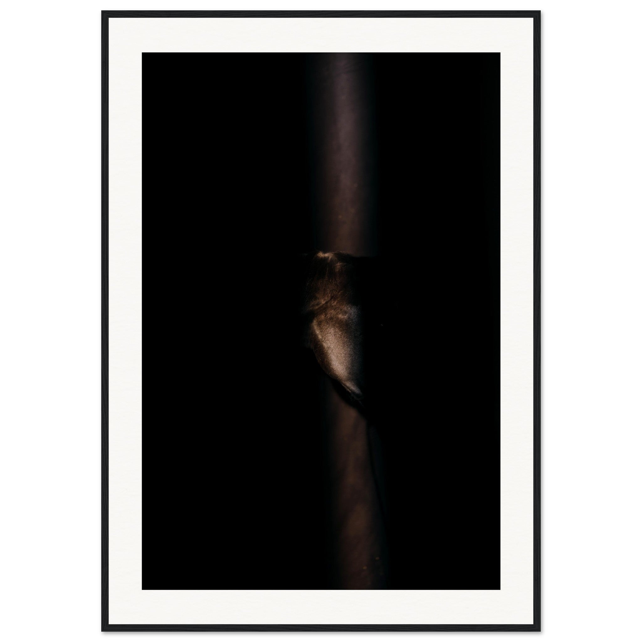 02b43c14-b124-42b7-9005-2306fb42da46