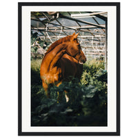 03054dc3-ed75-4d3e-af56-83aaf1511bd1