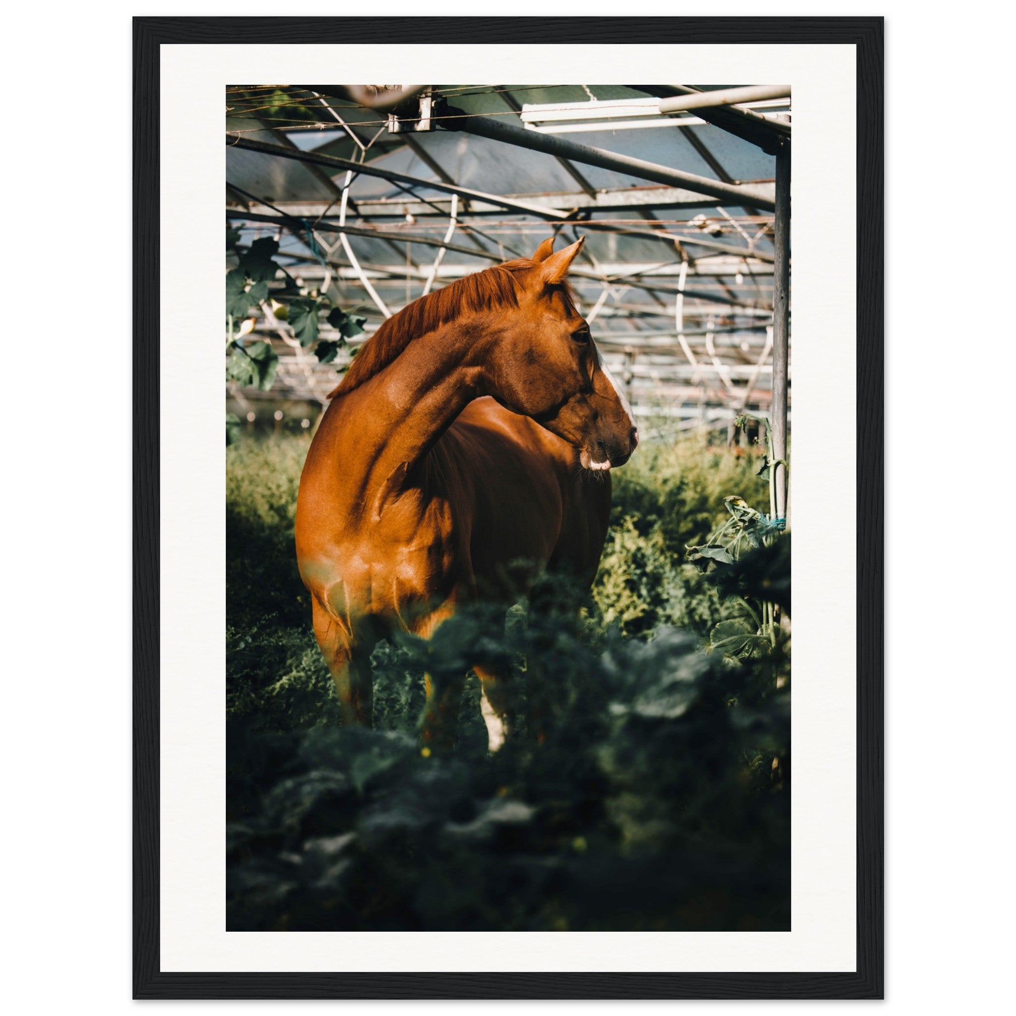 03054dc3-ed75-4d3e-af56-83aaf1511bd1