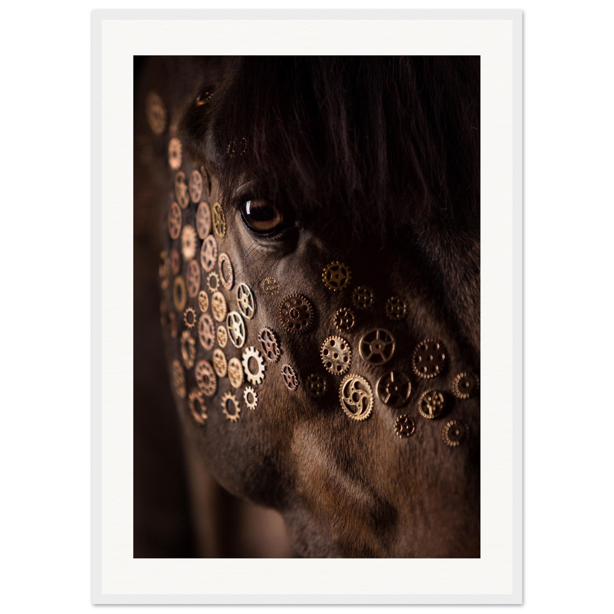 03545c7b-1214-41bb-a305-c8bffe1b3a9f