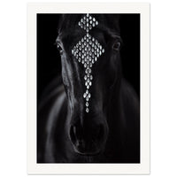 0369ba06-1742-453c-a581-1124d4d99244