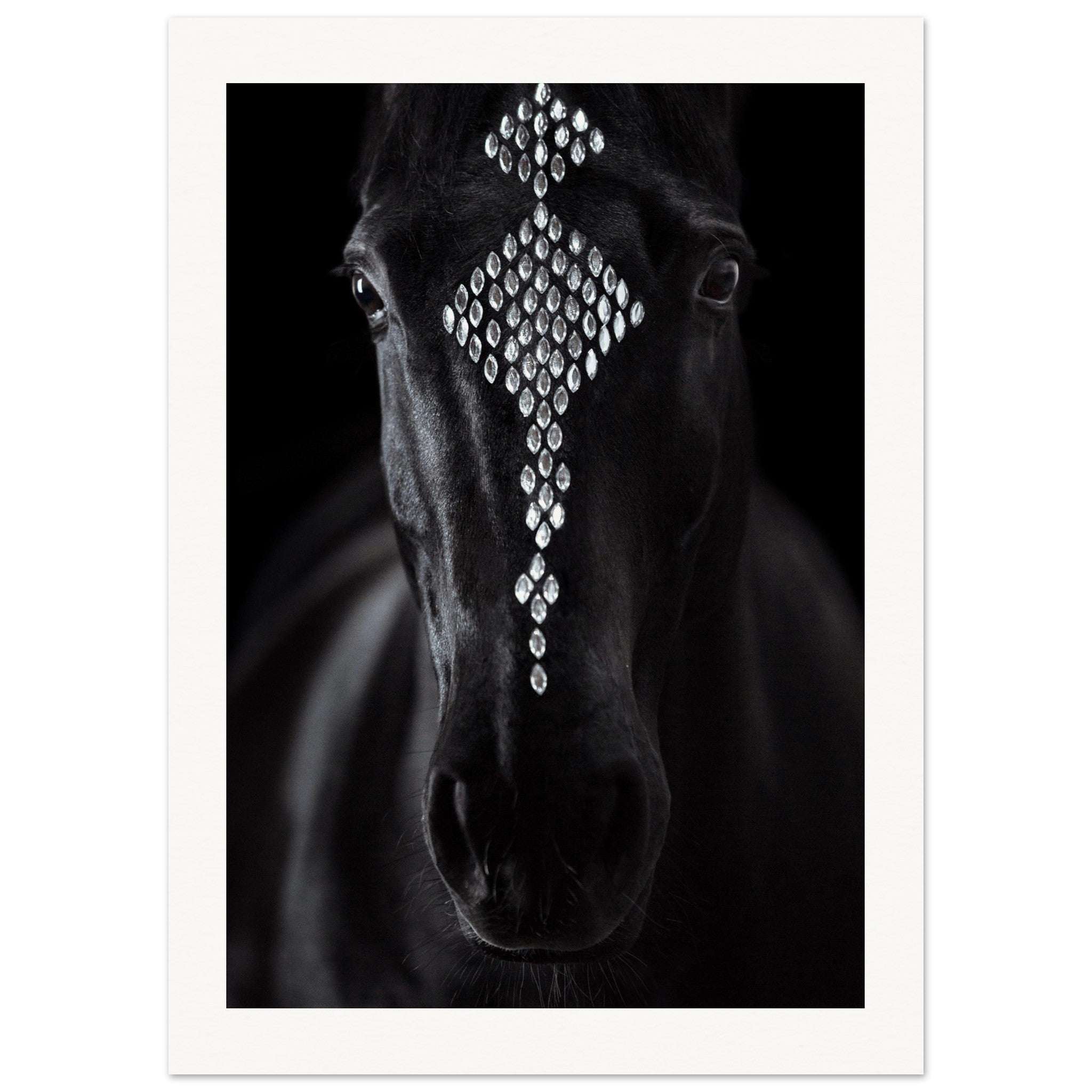 0369ba06-1742-453c-a581-1124d4d99244