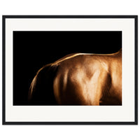 03cfbb96-3ba4-4923-8265-07d358e4e798