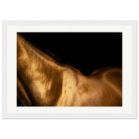 03dbb72d-3f34-453c-8670-6eec3ba07a2f