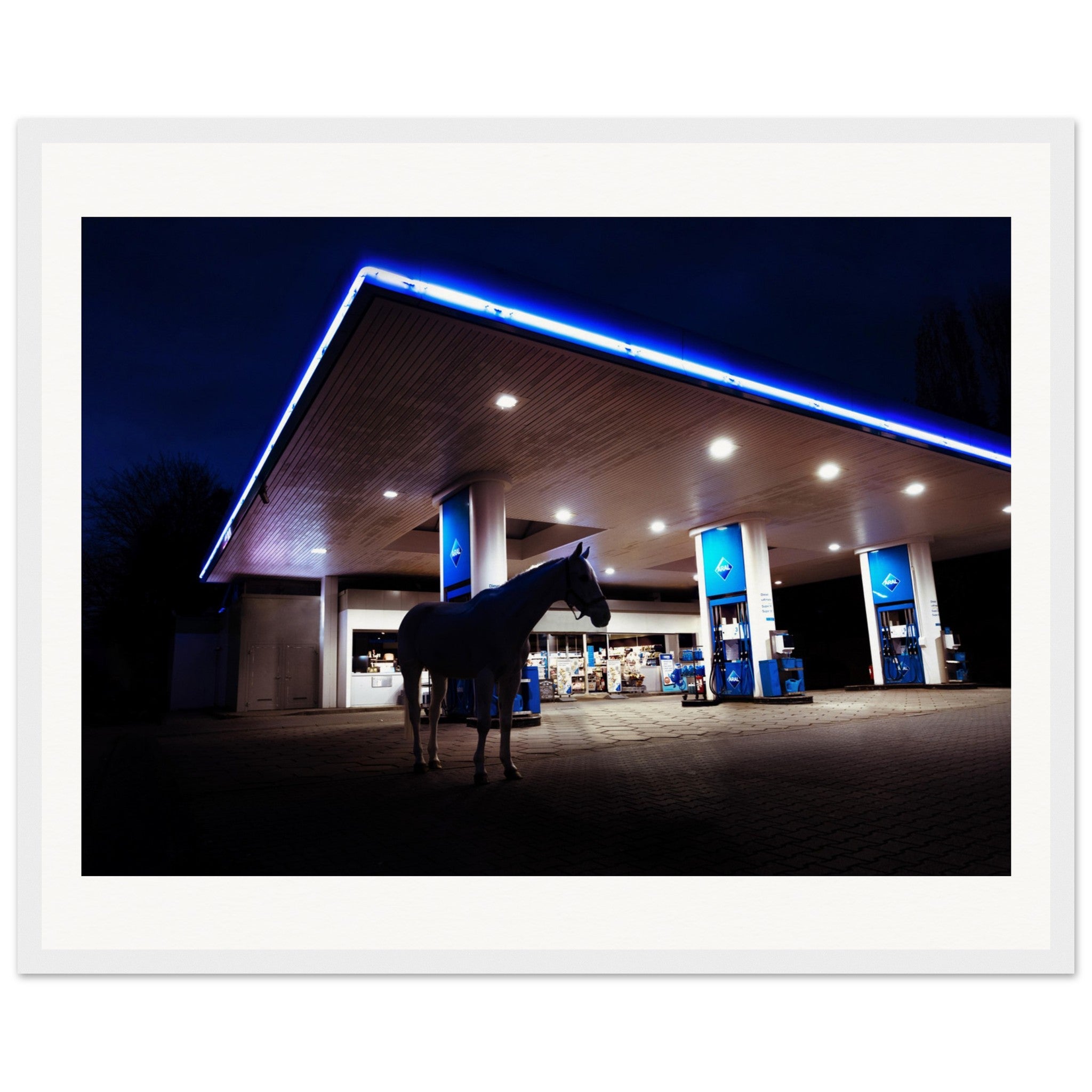 03ea43d3-07d2-4fdc-8fd9-ece9188ad122