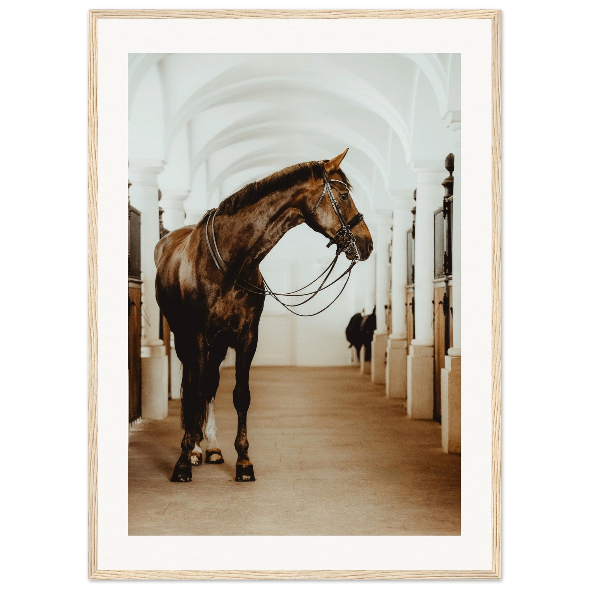 043bcd1d-f679-4e36-986e-5c48c5734bd7