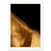 04784df6-6e6b-4679-a3fa-b7d1c620f426