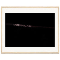 04b6c8ab-a127-403f-a4bb-a23bca457299