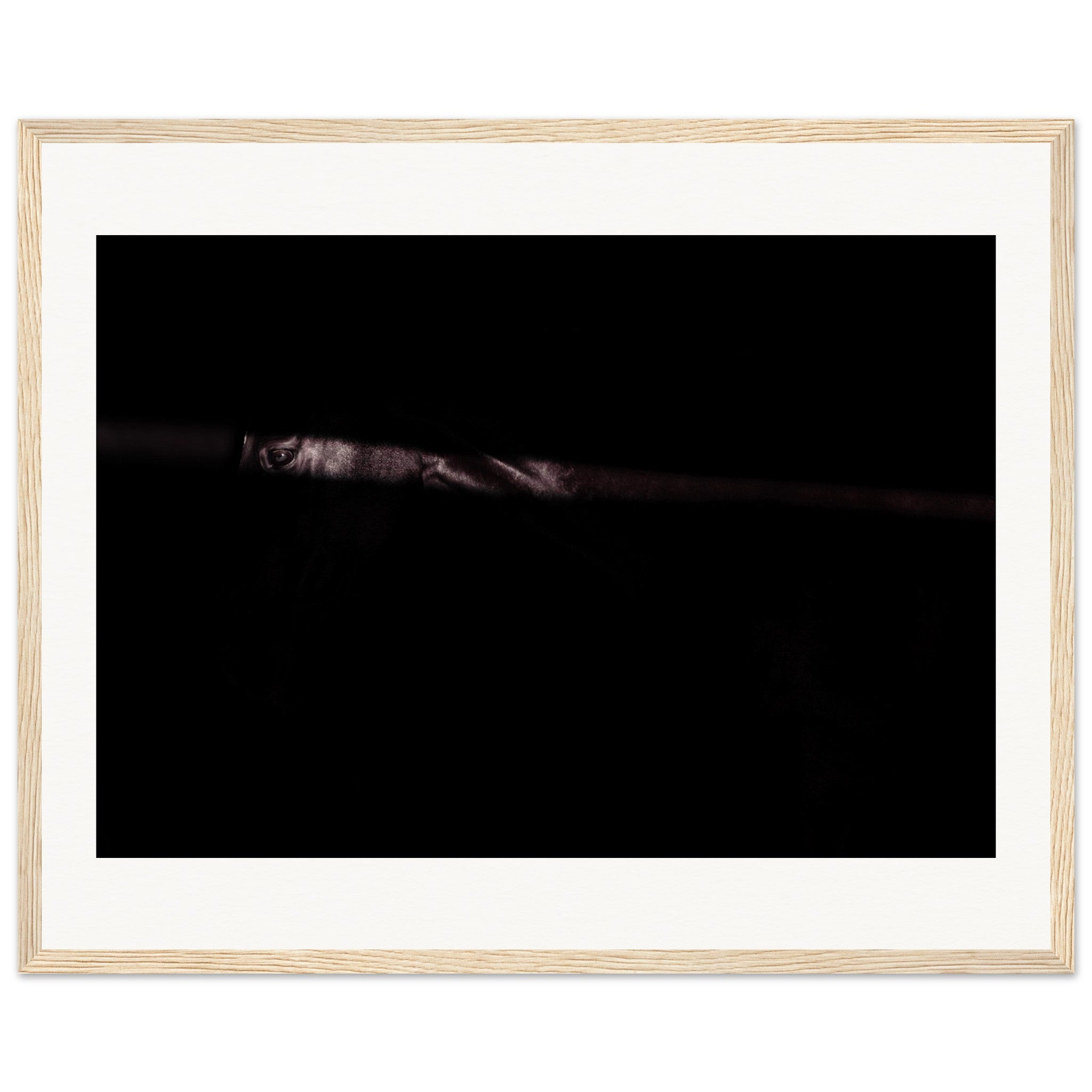 04b6c8ab-a127-403f-a4bb-a23bca457299