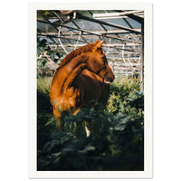 04b8b067-9da1-4626-80b5-09fd64a9abad