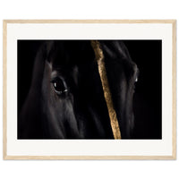 04bea864-0b06-4d02-97d3-e59a15906389