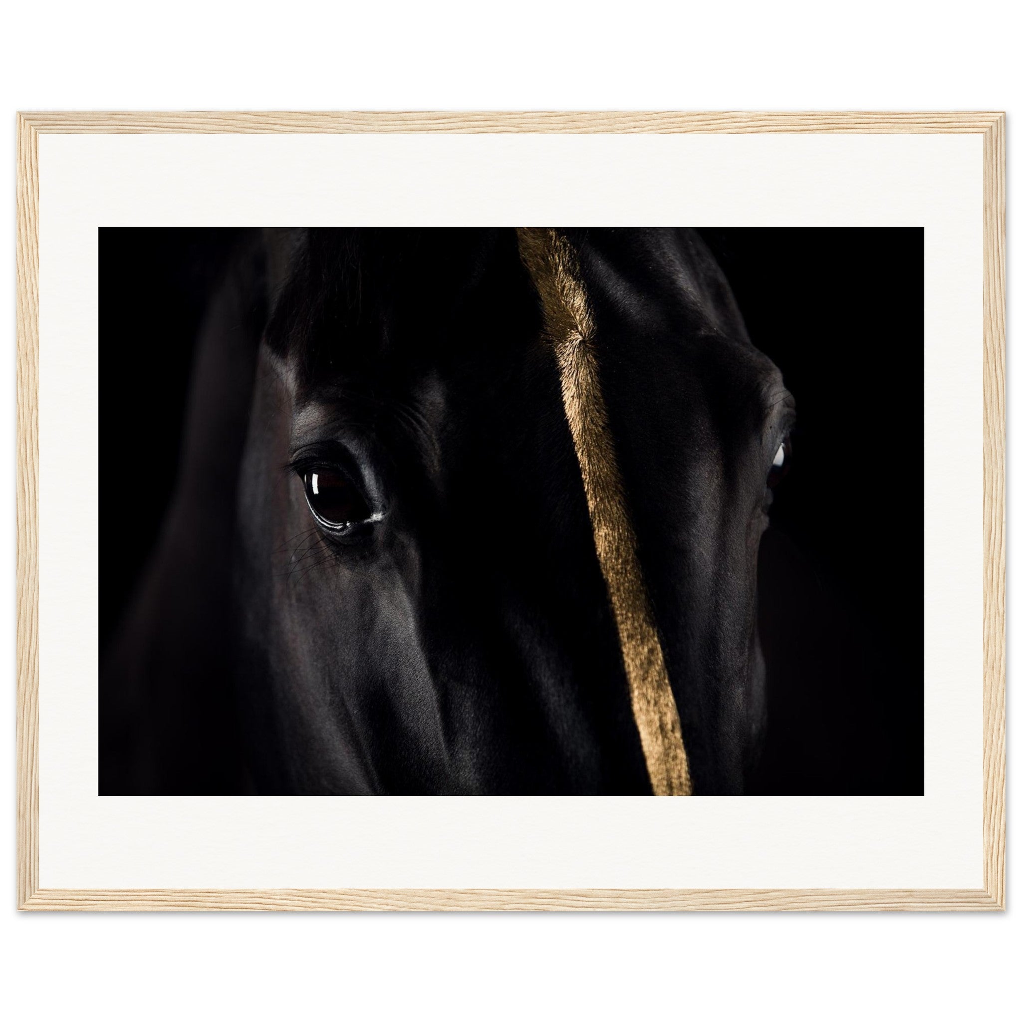 04bea864-0b06-4d02-97d3-e59a15906389