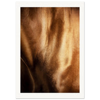 04c75261-2f62-44aa-8272-3ad871bcb038