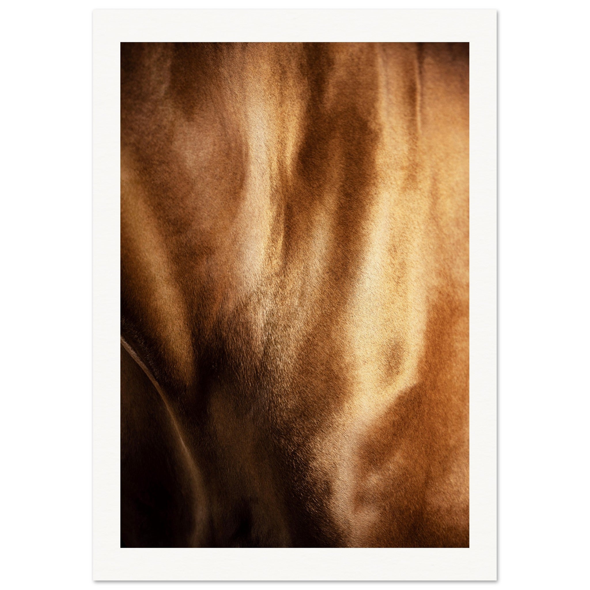 04c75261-2f62-44aa-8272-3ad871bcb038