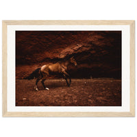 04ce9081-3fd1-4f19-9bb5-f5da010d5083