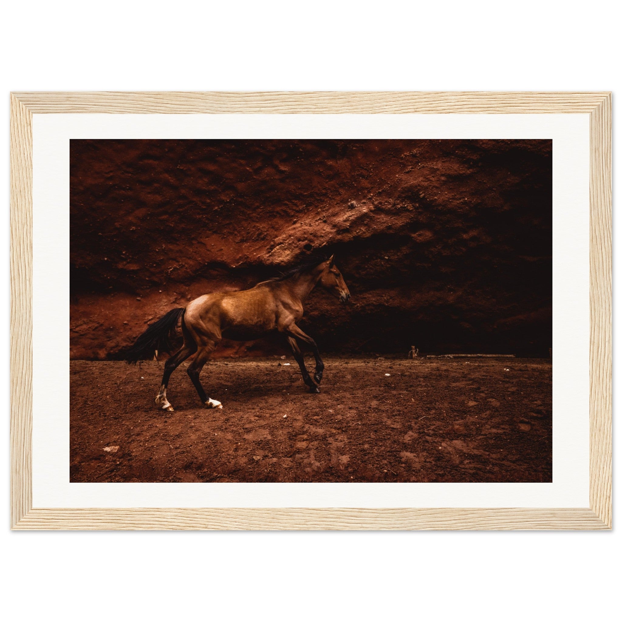 04ce9081-3fd1-4f19-9bb5-f5da010d5083