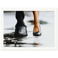 0517916a-c711-4510-94ca-e6ab39453ef3