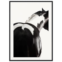 051ad950-ea94-4a9f-b401-d353b4291eec