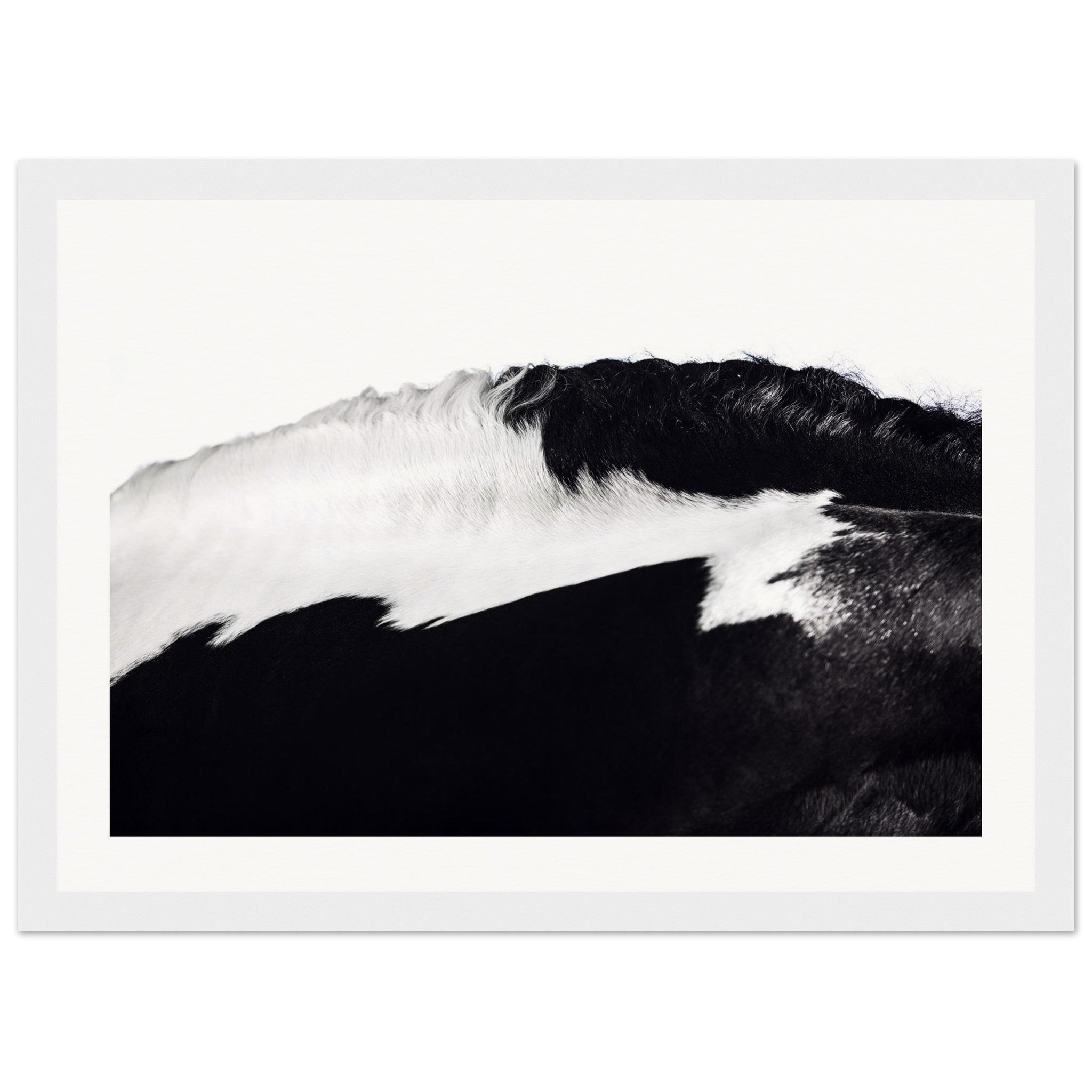 05397f7f-f64d-44d4-a789-d0971383c534