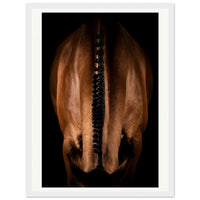 0541c247-f296-4fb7-bb92-c4d1dd6a0427