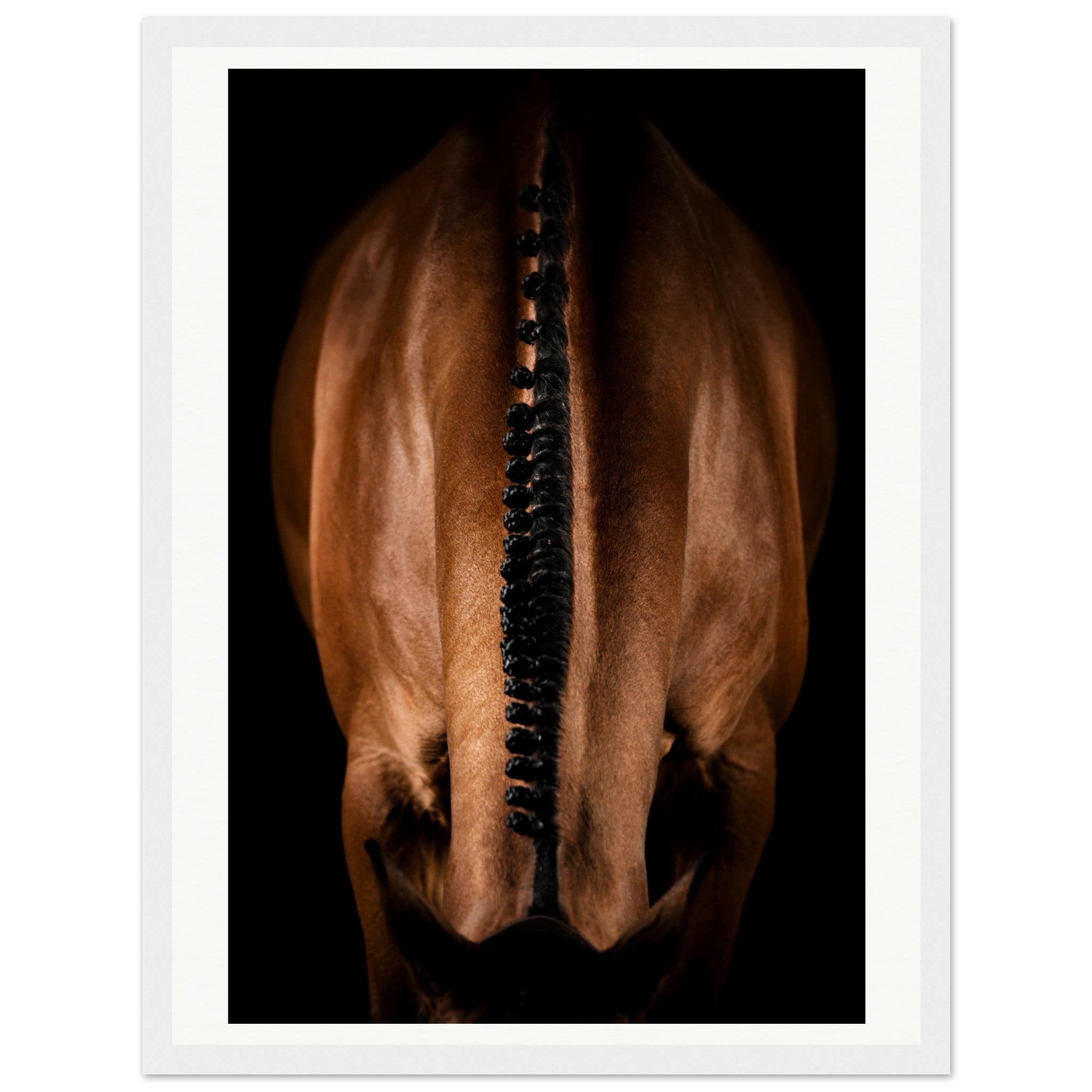 0541c247-f296-4fb7-bb92-c4d1dd6a0427