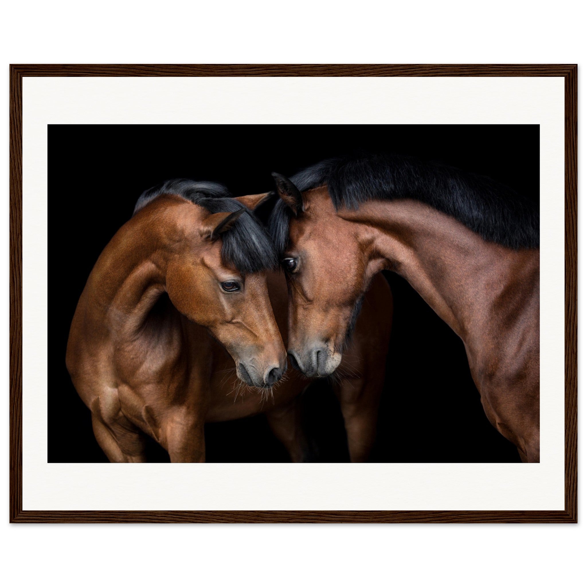 057ccb88-de32-4fe1-817a-a90a40386cd3