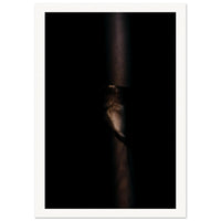 Diana Wahl Collection - Light I
