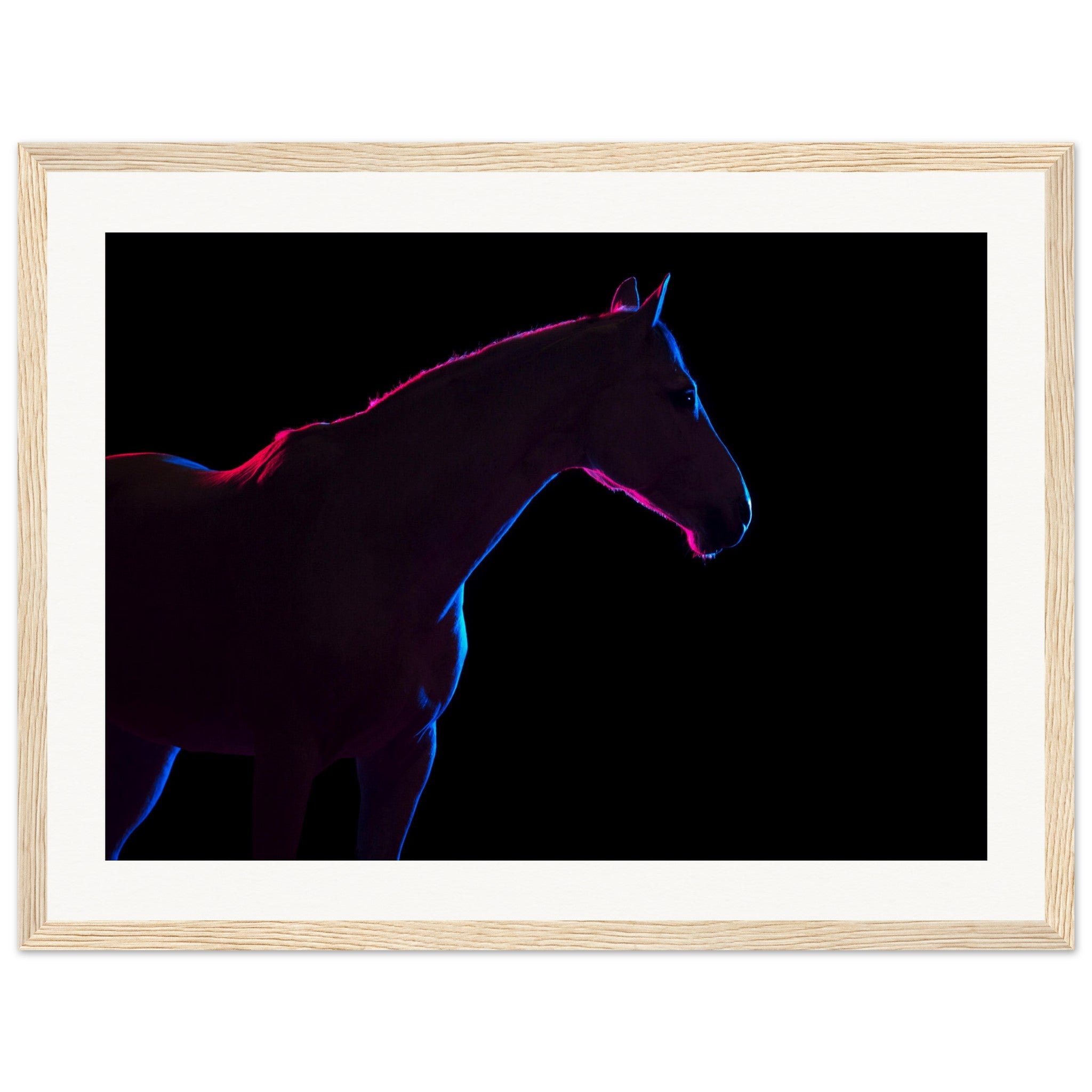 05f969a5-64ee-42f0-8fc4-60ab5bf15fdb