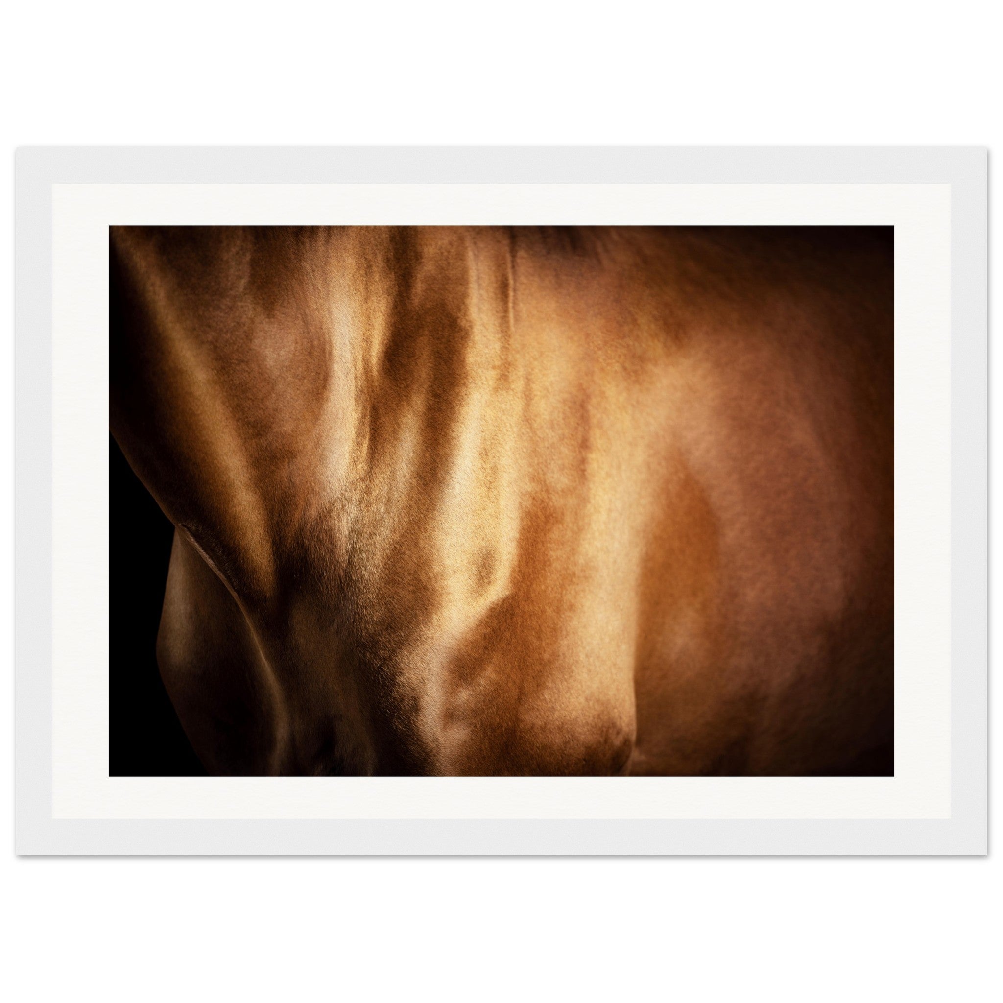 05fdb4ba-9f24-4b22-9fce-0130cec0457b