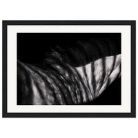 060da1f5-847a-426c-83ce-3f3dc3710a48