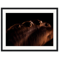 06101f7a-d755-4239-9040-09d4035199f1