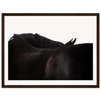 062e626e-88d2-494c-9002-b15d087981ab