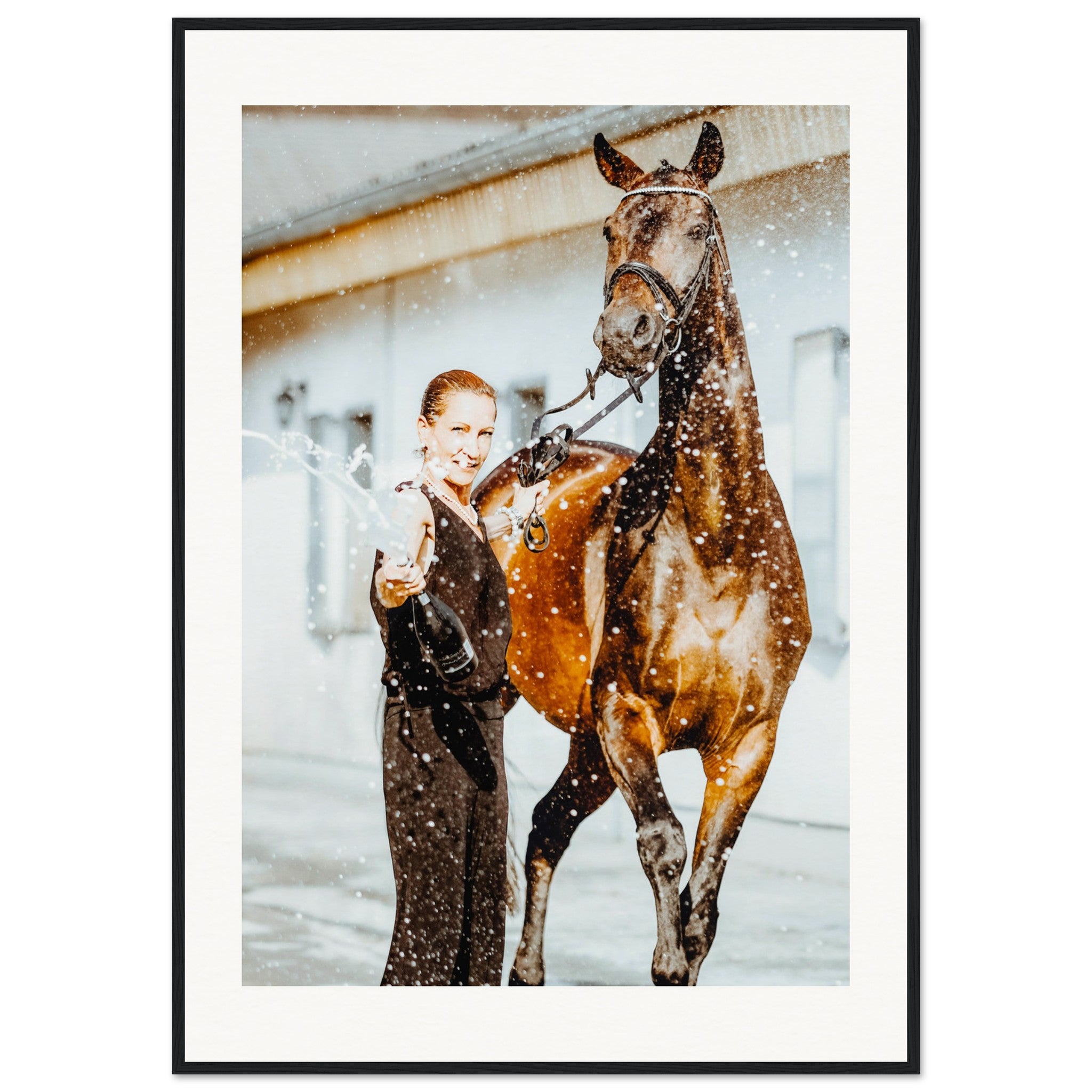 06b38852-50e6-493e-b639-59aa4a0ed102